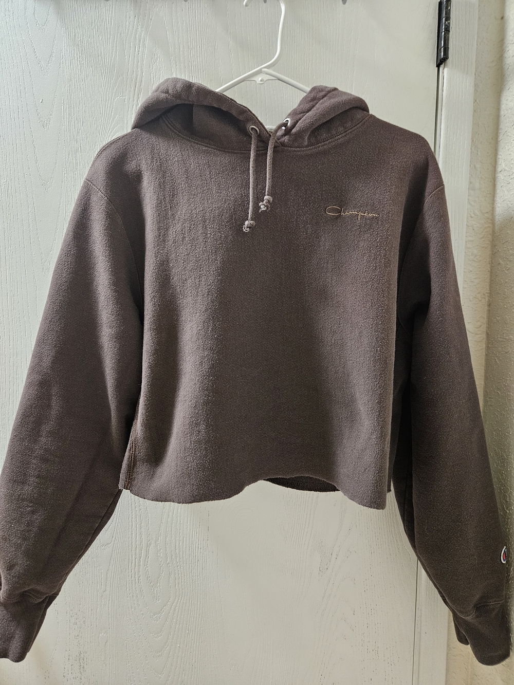 Champion Cropped Hoodie in Brown